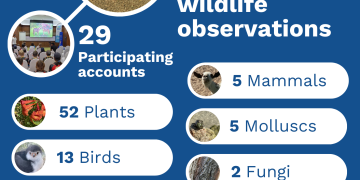 Results of the BioBlitz