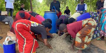 Mbeya preparation by community 