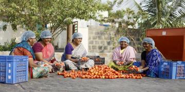 Woman Entrepreneurs Preparing Produce