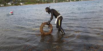 Free diver collecting waste from the Oslo fjord. 