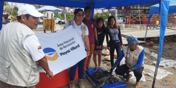 재활된 바다거북 방류 이벤트.