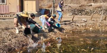 amphibians protection