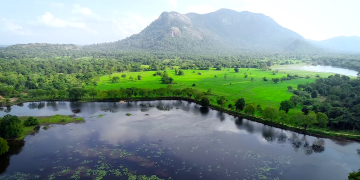 Basamaklı arazideki biyoçeşitlilik restorasyonu, geleneksel tank sistemlerinin rehabilitasyonunu, su toplama havzalarının yeniden ağaçlandırılmasını ve yerli türlerin yeniden tanıtılmasını içeriyordu. Bu eylemler suyun tutulmasını iyileştirdi, habitatları restore etti ve hem biyoçeşitliliği hem de yerel geçim kaynaklarını destekleyerek peyzajın ekolojik dengesini ve iklim direncini artırdı.