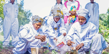 A group of local beekeepers gather outside during an apicutlture training to calm bees before inspecting hives
