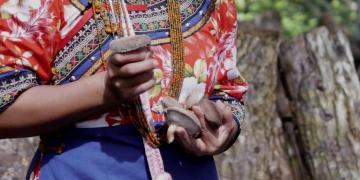 林下經濟-段木香菇