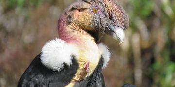 Parque Nacional Natural de Chingaza