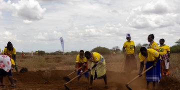 Peyzajın restorasyonunu desteklemek için demetlerin kazılması