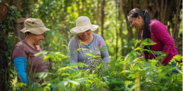 L'image montre trois femmes avec de la végétation à l'arrière-plan et dans les environs.