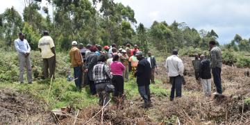Kijabe Environment Volunteers