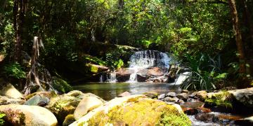 MADAGASCAR NATIONAL PARKS