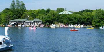 Tokyo Metropolitan Park Association, https://www.tokyo-park.or.jp/park/format/index038.html
