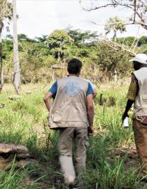 Plant Reforestation in Bombe IUCN