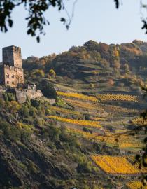 Gutenberg castle P!EL