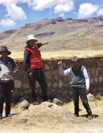 Maintenance of the climatic shed Livestock Department
