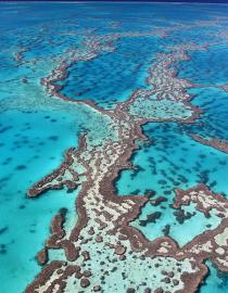Great Barrier Reef in Australia Adobe Stock
