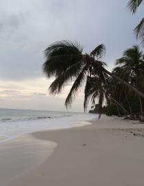 Port Salut UNEP