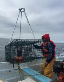 Documentando la pesca de escama con trampa Comunidad y Biodiversidad, A. C.
