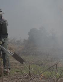 Author using a rake hoe to control wildfire