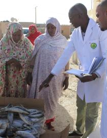 Inspecter la qualité du poisson