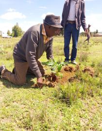 Tree planting knows no age. Here is a picture of the Chairman of one of the Community Forest Association (CFA) planting a native tree seedling.