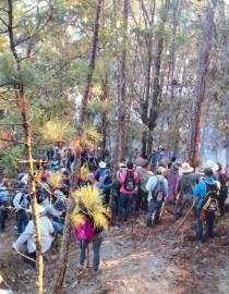 Organizacion comunitaria para atencion de incendio forestal CELAQUE