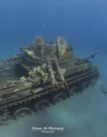the tank artificial site