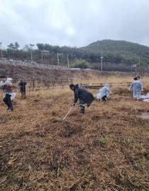 Citizens Remove Competing Plants from Endangered Plant Habitats