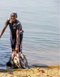 A fisherman pulling his boat ashore on one hand while holding his harvest in the other.