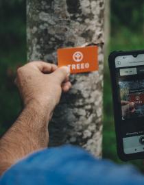 Tree scanning with TREEO Card and TREEO App