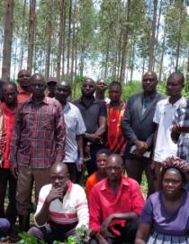 CFM group leaders meeting with the National Forestry Authority leaders at Oriamo Community demonstration woodlot 
