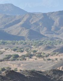 Landscape ATNNR