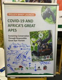 policy brief