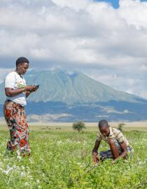 Community rangeland officers assessing the health of rangeland in Engaruka Valey in Northern Tanzania