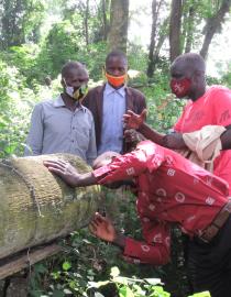 Demonstrating how to improve honey production