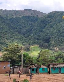 Social and ecological benefits of restoration