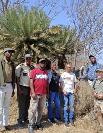 LEDET visit to Lillie Cycad Reserve, Selati