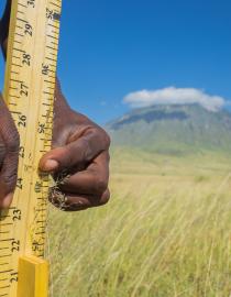 Hands hold a measuring tape with grass and a mountain in the background