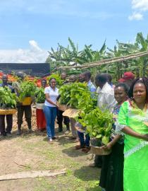 AGROFORESTRY PROJECT FARMERS WITH SEEDLINGS