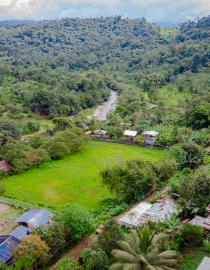 Aerial view of Guayabillas community landscape, one of the pilot sites where NFTree’s DAO-based governance and conservation finance model is being implemented.