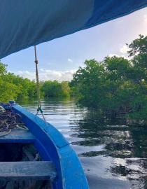 A boat in the mangrove channel of the Inhambane Estuary, Mozambique