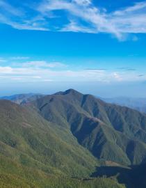 Forests of the Blue and John Crow Mountains National Park