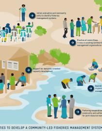 The graphically designed landscape highlights the important steps of the approach: Initial evaluation and community entry to identify fisheries management systems; election of committees in new or existing community management organisations; support for demands-oriented capacity development; operational planning and implementation of fisheries management system; fostering cooperation between community and authorities for joint resource management