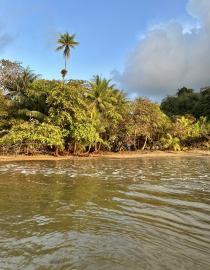 Isla del Coco