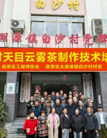 Group photo of participants at a workshop on Yunwu tea production