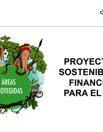 PSF