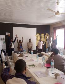Stakeholder working group