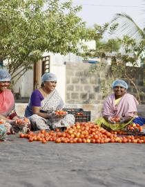 Woman Entrepreneurs Preparing Produce