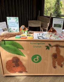 A wooden cupboard with orangutan murals painted on the front and the activities of the Investigation Station displayed on the top. 