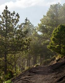 A highlands landscape in the morning