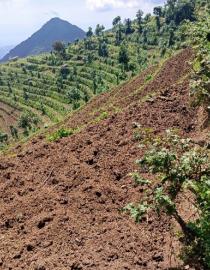 Contexte naturel du site - secteur de Kanama